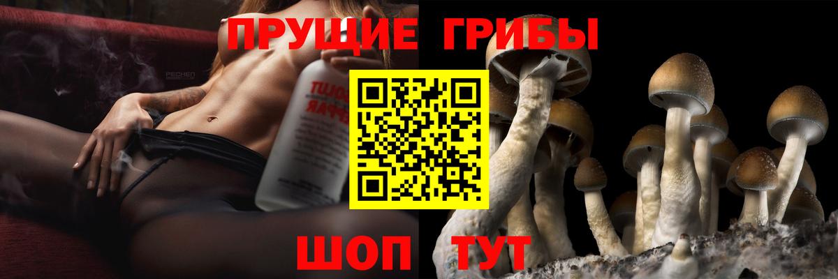Галлюциногенные грибы Magic Shrooms Шарыпово